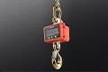 Crane Scale.png